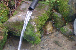 Fresh Water Springs